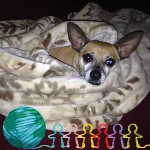 Meet your Posher, Marlene